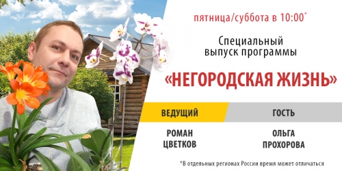 Специальный выпуск программы «Негородская жизнь» в прямом эфире «Дорожного радио»