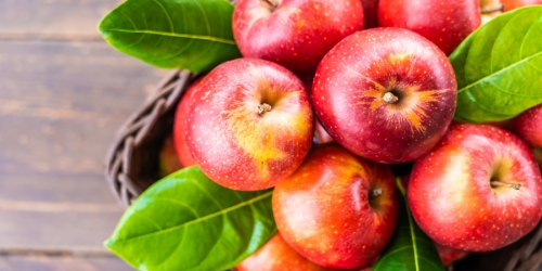Куда деть урожай яблок: ТОП-5 вкуснейших рецептов