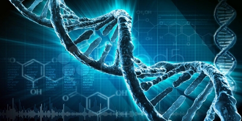 Ученые из Гарварда приступили к первым экспериментам по редактированию генетического материала живых организмов