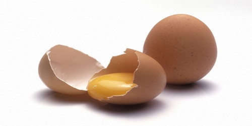 Британские ученые пришли к выводу,что употребление в пищу хотя бы одного яйца в день снижает риск сердечно-сосудистых заболеваний
